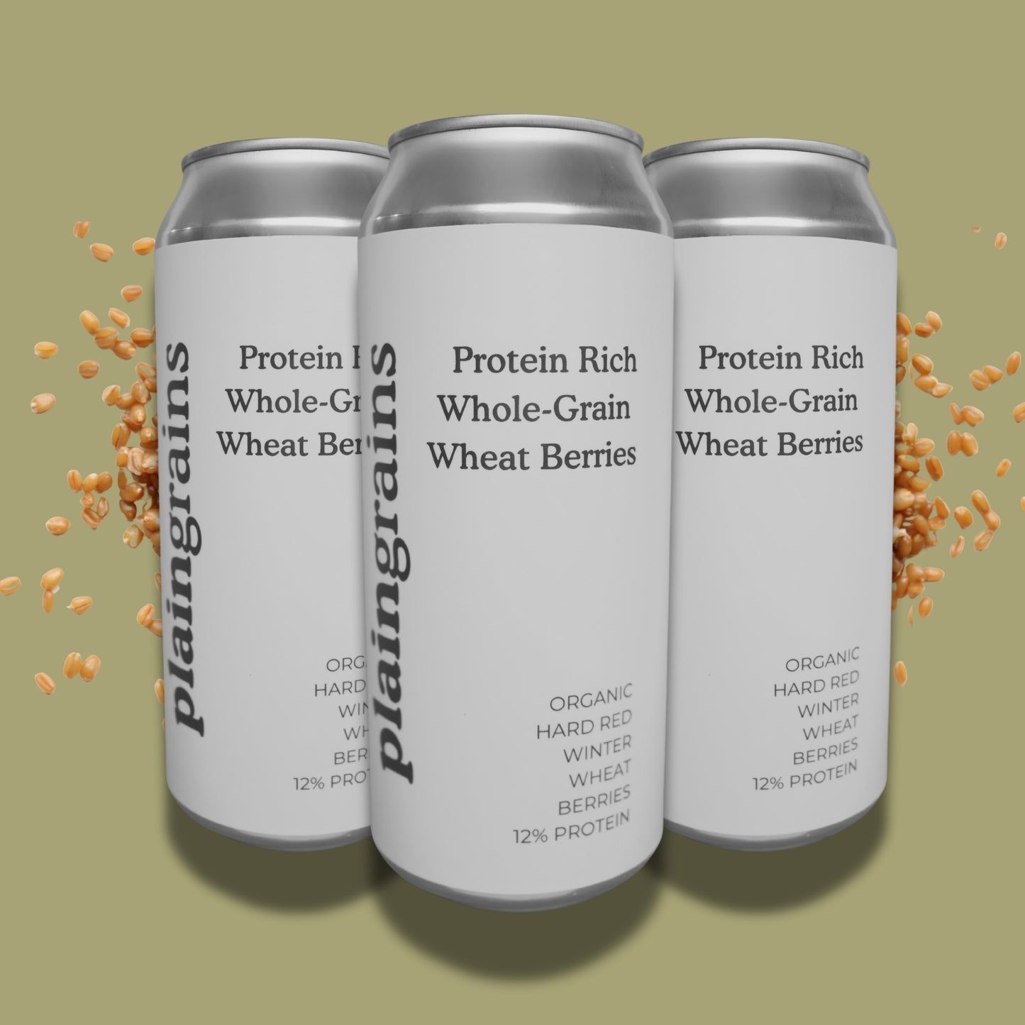 4 Pack - Dry Organic Hard Red Winter Wheat Berries 12% Protein