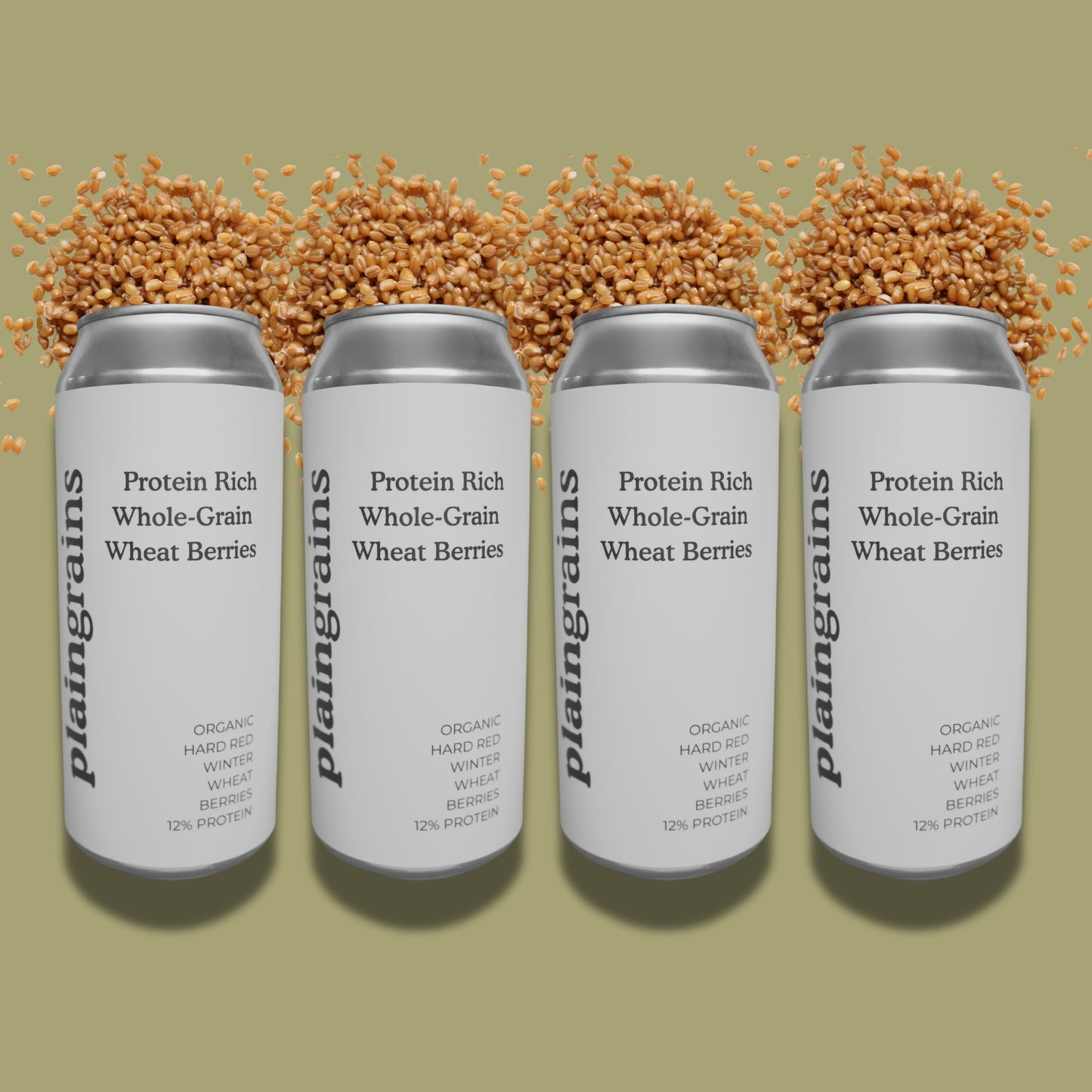 4 Pack - Dry Organic Hard Red Winter Wheat Berries 12% Protein